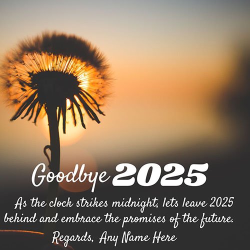 Memorable Goodbye 2025 Wishes Quotes and Greetings With Name